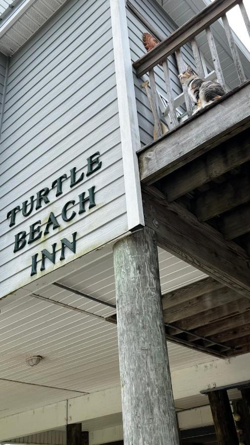 Turtle Beach Inn Indian Pass Exterior photo